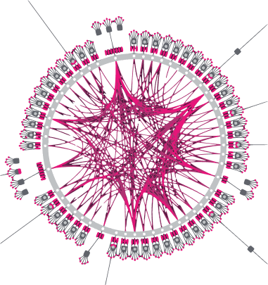 Polkadot Parachain System